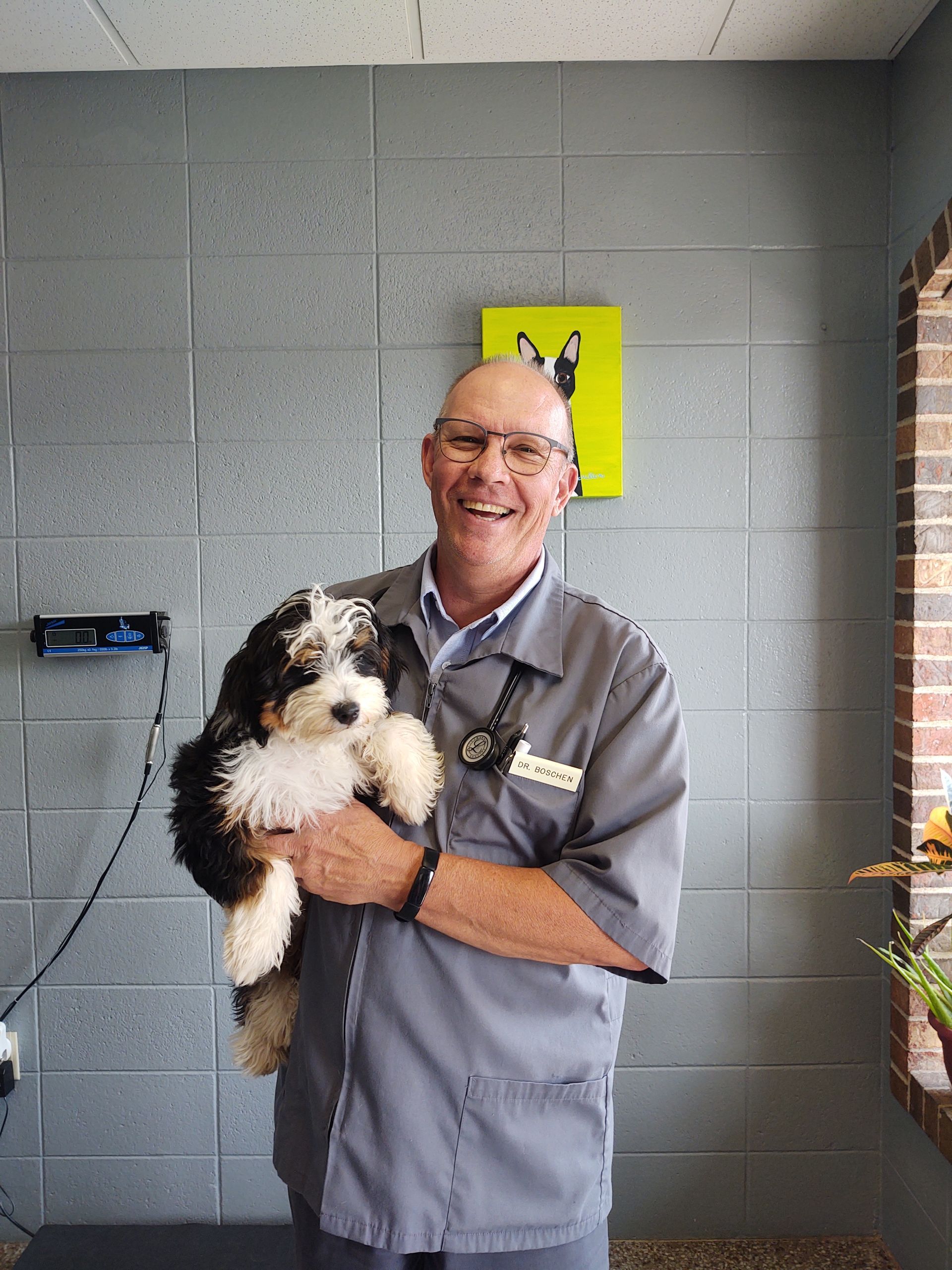 Dr. Boschen | Springfield, MO | North Side Animal Clinic Dr. Boschen | Springfield, MO | North Side Animal Clinic