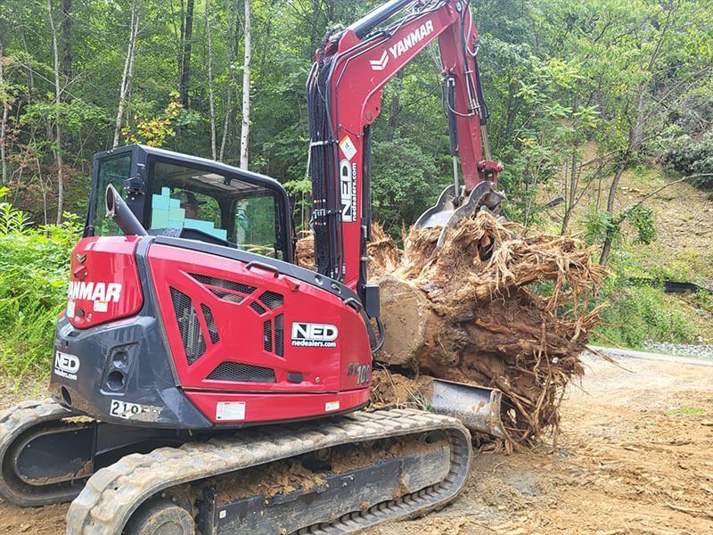 Red excavator lifting a large uprooted tree stump in a wooded clearing