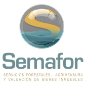 Semafor