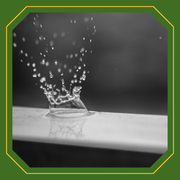 Laboratory Services
