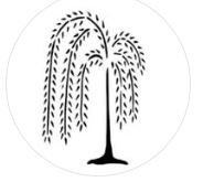 Black weeping willow tree silhouette with drooping branches inside a faint circle on a white background
