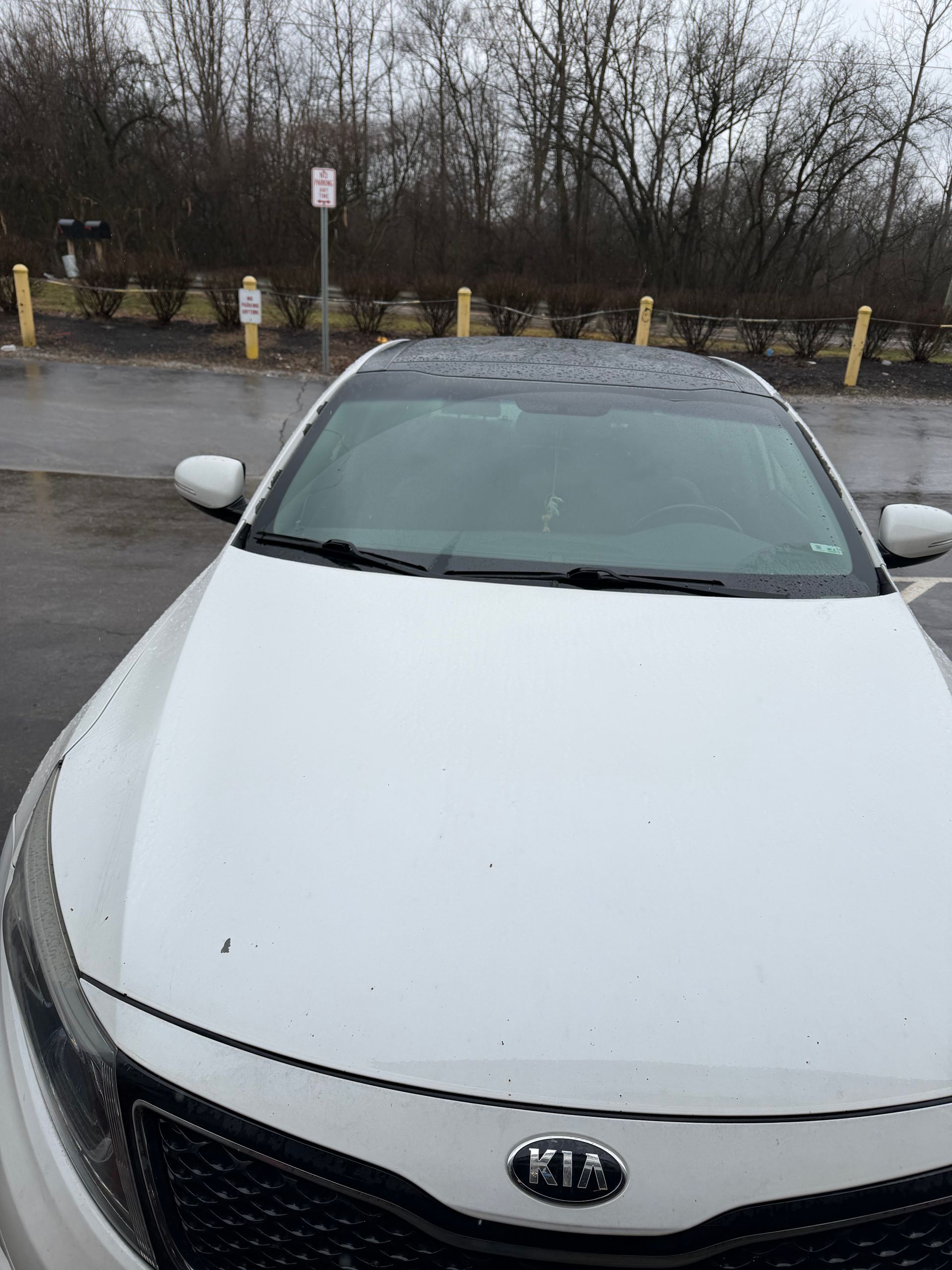 White Kia sedan parked outdoors on a wet lot with trees in the background