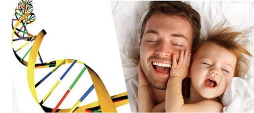PATERNIDAD