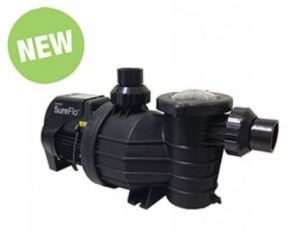 Spa and Swimming Pool Pumps — Landsdale, WA — Pumps Online