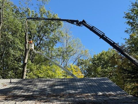 Tree Removal Beside House — Bloomington, IN — Fowler Tree Services Inc.