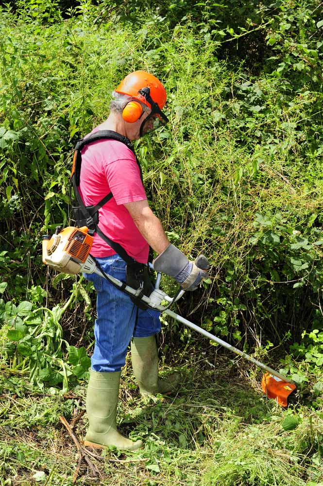 Gardener Using A Brush Cutter — Coffs Chainsaw and Mower in Urunga, NSW