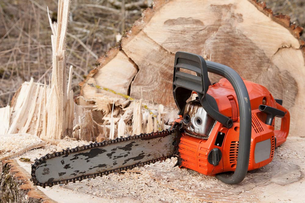 A Chainsaw is Sitting on Top of a Tree Stump — Coffs Chainsaw and Mower in Kempsey, NSW