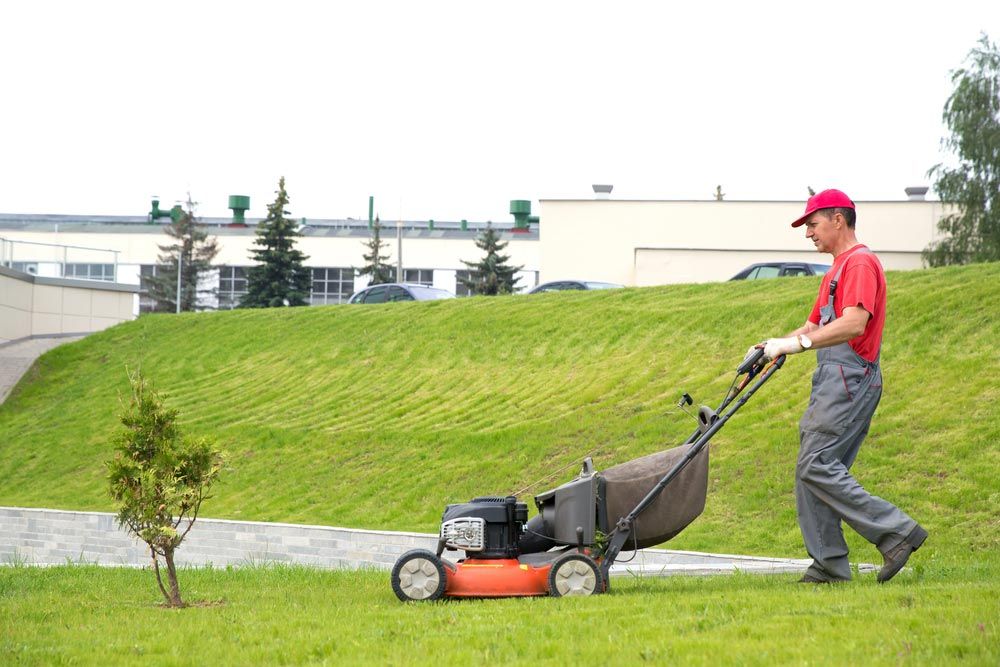 Gardener Cutting Grass With Lawn Mower — Coffs Chainsaw and Mower in Macksville, NSW
