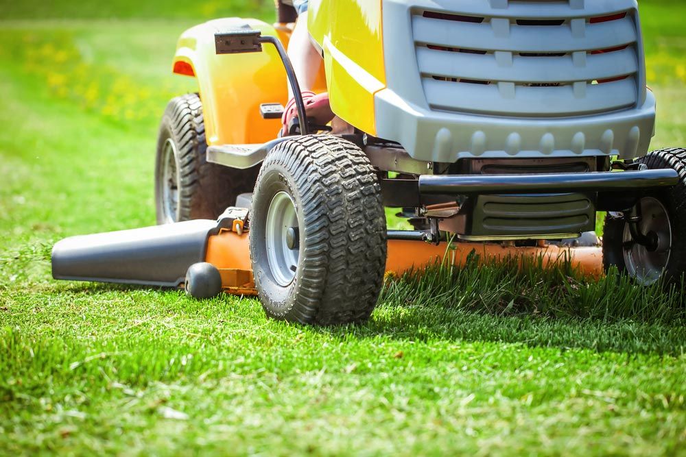 Closeup Of Mower Cutting The Grass — Coffs Chainsaw and Mower in Macksville, NSW