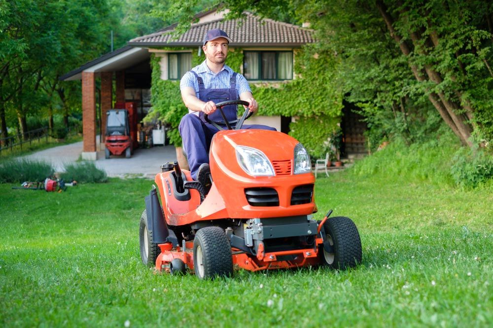 Gardener Driving A Ride On Lawn Mower In A Garden — Coffs Chainsaw and Mower in Bellingen, NSW