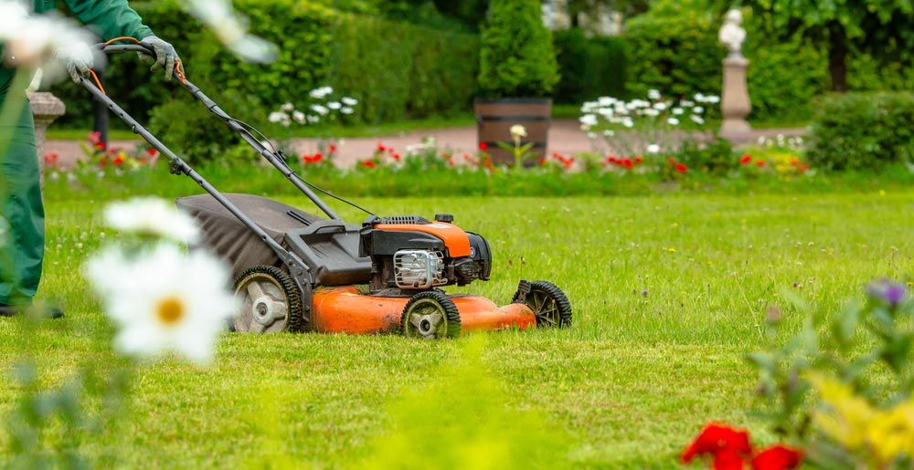 Gardener Using Push Mower On Lawn — Coffs Chainsaw and Mower in Coffs Harbour, NSW