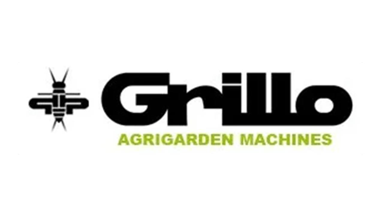 Grillo