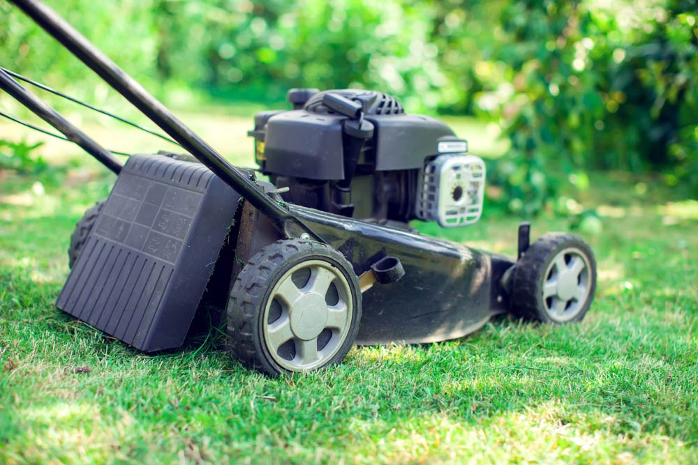 Lawn Mower Cutting Green Grass In Backyard — Coffs Chainsaw and Mower in Urunga, NSW