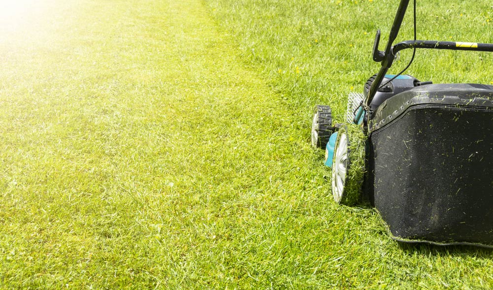 Mowing Lawn — Coffs Chainsaw and Mower in Kempsey, NSW