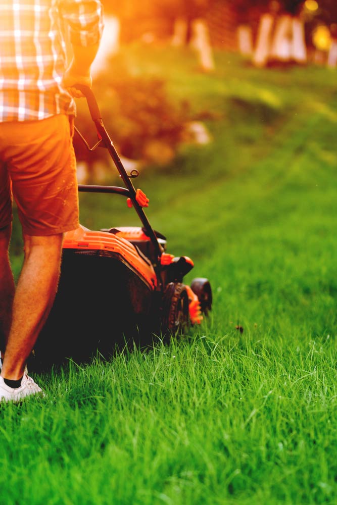 Man Using Push Mower — Coffs Chainsaw and Mower in Urunga, NSW