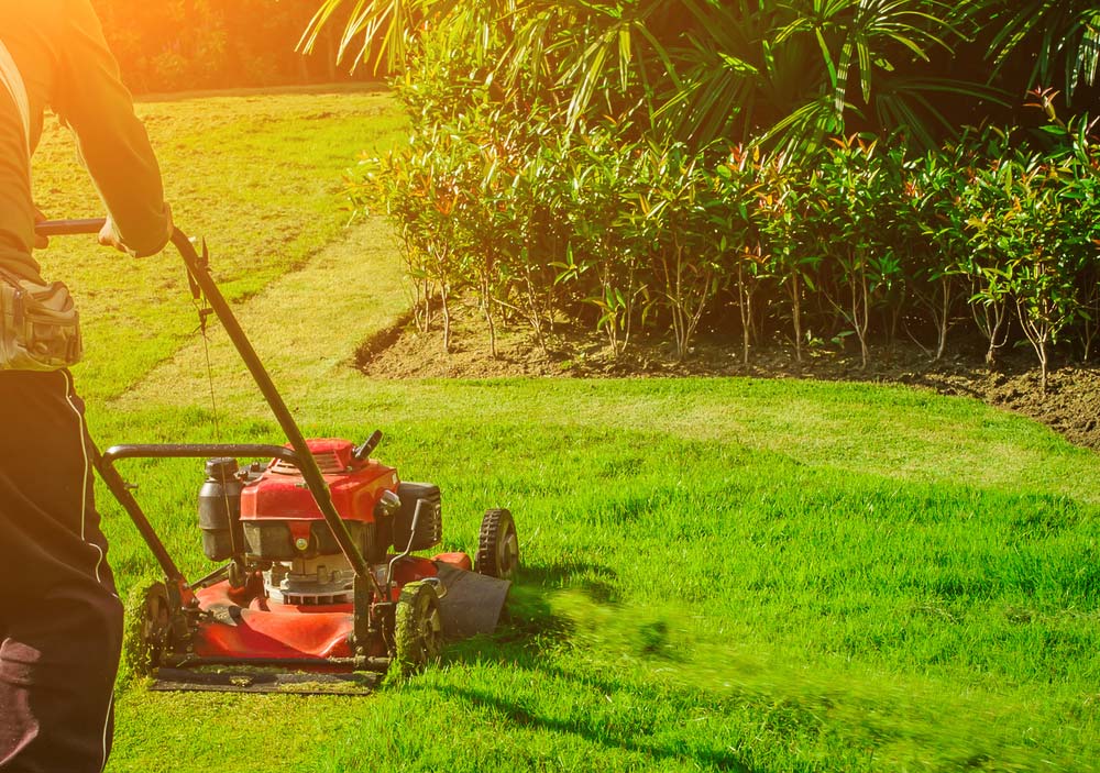 Man Using Red Lawnmower Cutting Bright Green Grass — Coffs Chainsaw and Mower in Bellingen, NSW