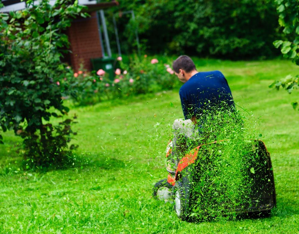 Man On Ride-On Lawn Mower Cutting Grass — Coffs Chainsaw and Mower in Macksville, NSW