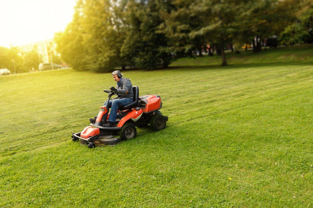 Man Mowing Lawn — Coffs Chainsaw and Mower in Kempsey, NSW