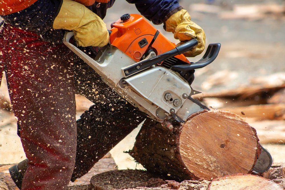 A Man is Cutting a Log With a Chainsaw — Coffs Chainsaw and Mower in Kempsey, NSW