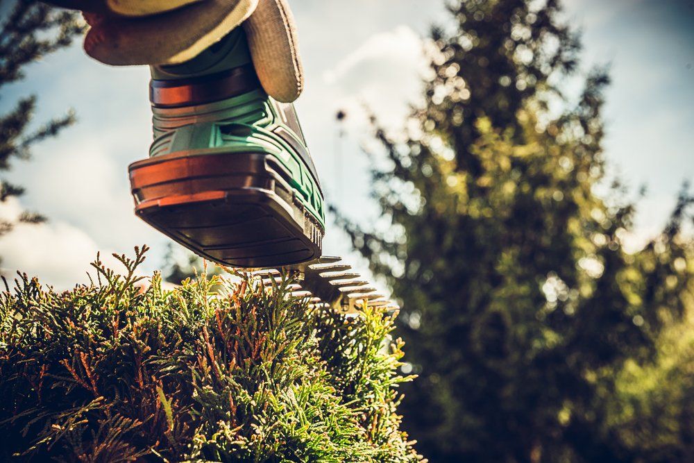 Man Cuts The Bushes With Pruning Shears — Coffs Chainsaw and Mower in Kempsey, NSW