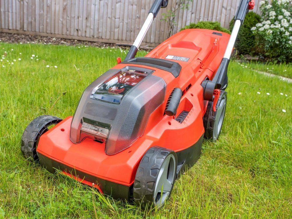 Front Of Cordless Battery Operated Lawn Mower — Coffs Chainsaw and Mower in Macksville, NSW