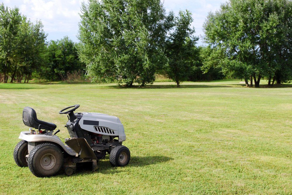 A Lawn Mower is Parked in the Middle of a Lush Green Field — Coffs Chainsaw and Mower in Macksville, NSW