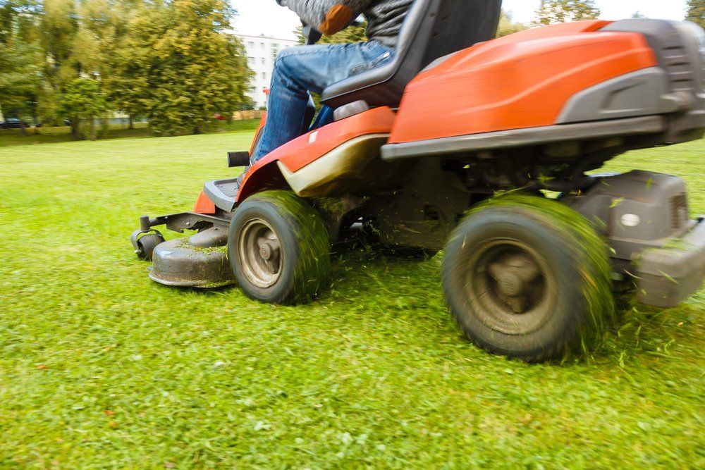 A Man is Riding a Lawn Mower on a Lush Green Lawn — Coffs Chainsaw and Mower in Kempsey, NSW