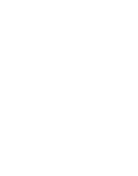 white logo image.