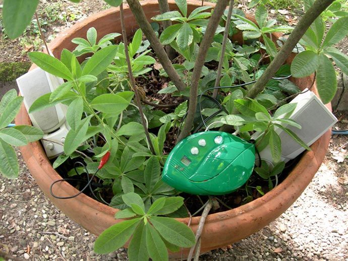 PROTOTYPE LEAF DEVICE