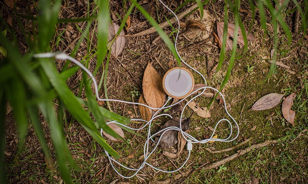Electrodes Electrodes