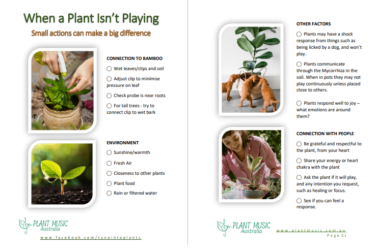 Plant Music