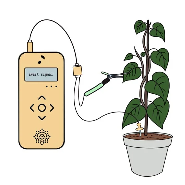 Plant Music