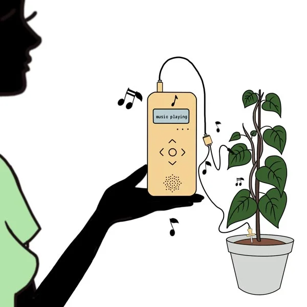 Plant Music