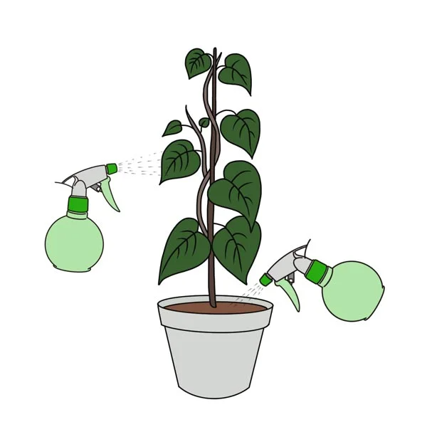 Plant Music