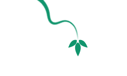 Plant Music