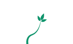 Plant Music