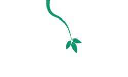 Plant Music