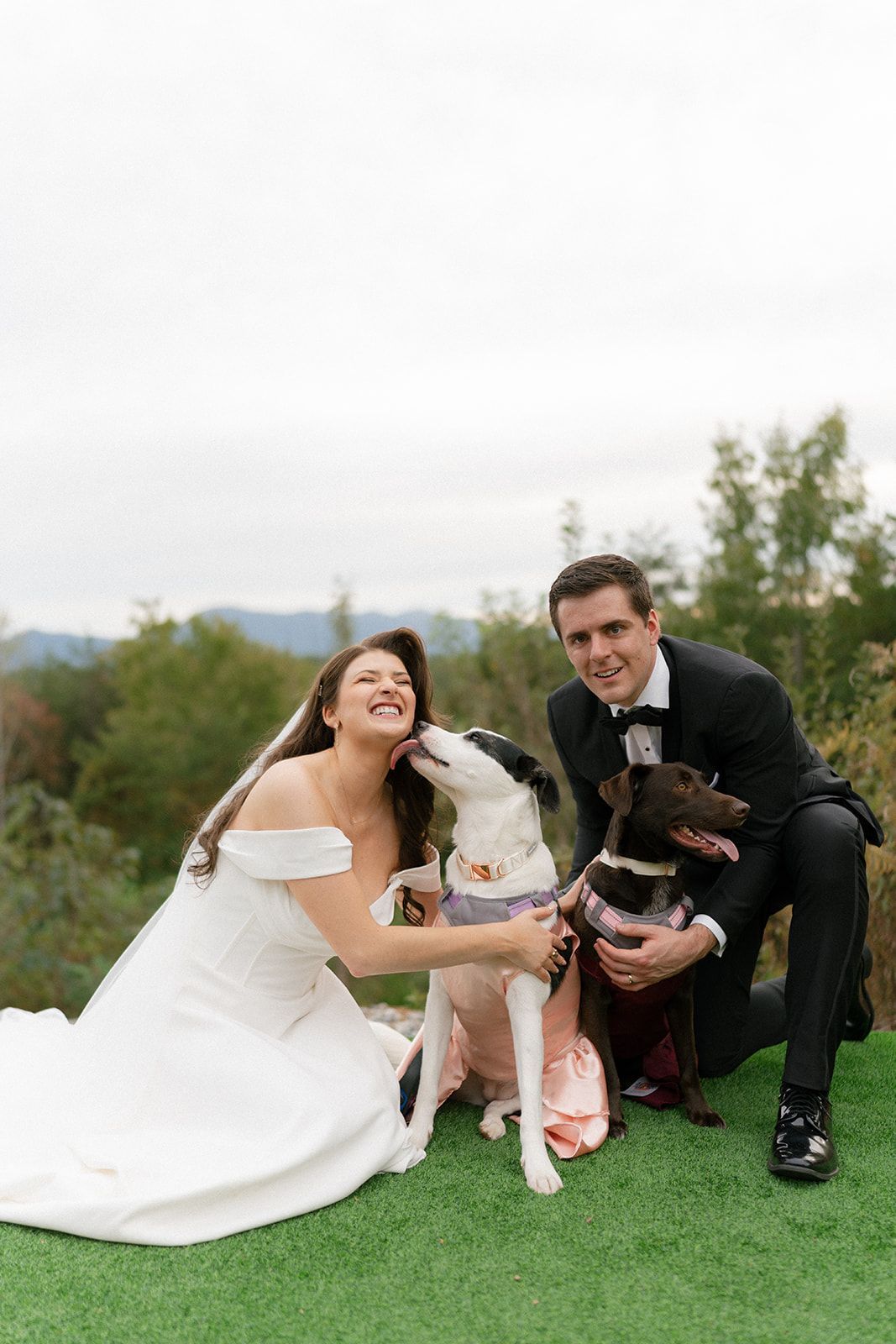 Bride and groom with their dog during relaxed outdoor wedding moment on mountain lawn in North Carolina
