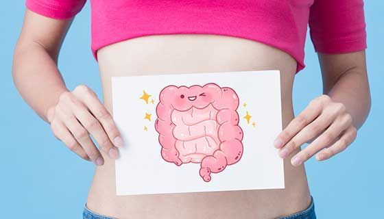 A woman is holding a drawing of a large intestine in front of her stomach.