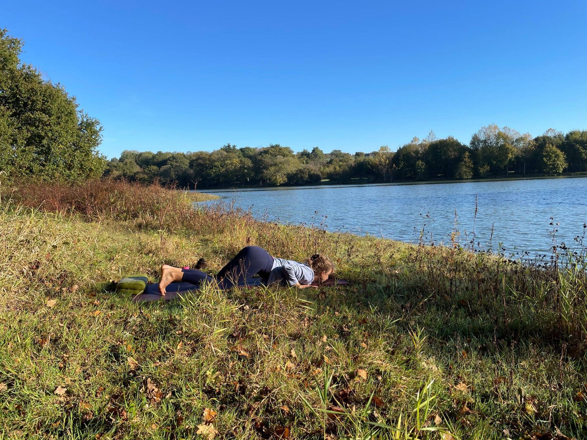 bujangasana