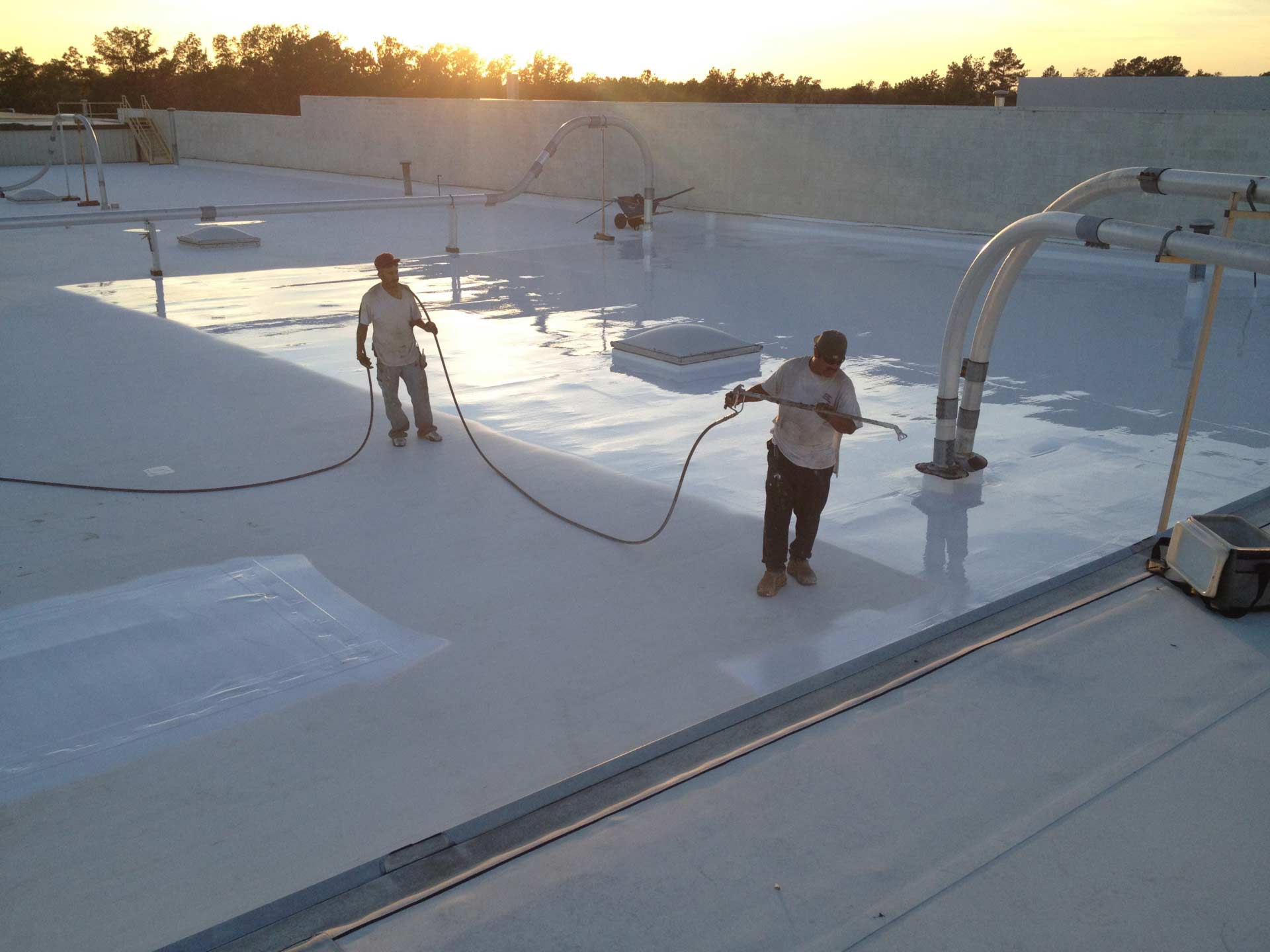 roof