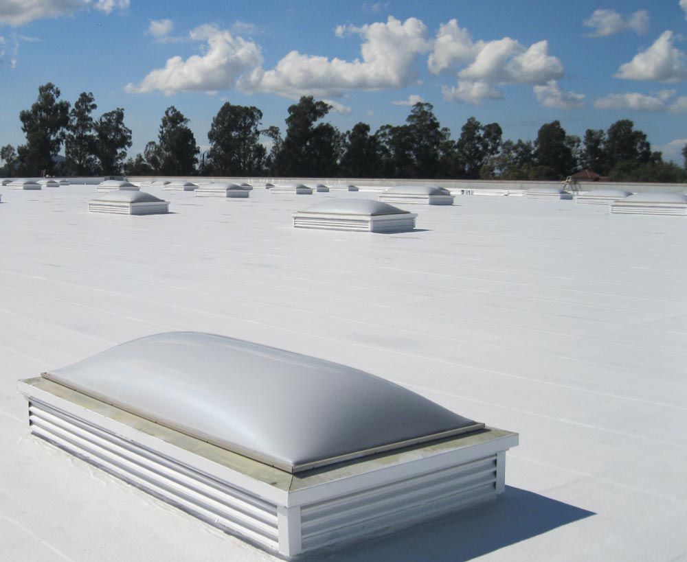 roof