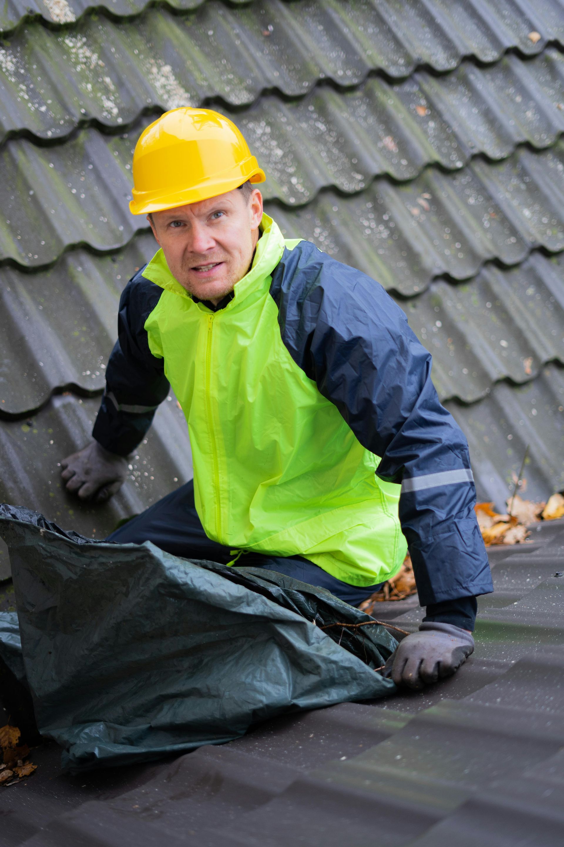 Roof Maintenance