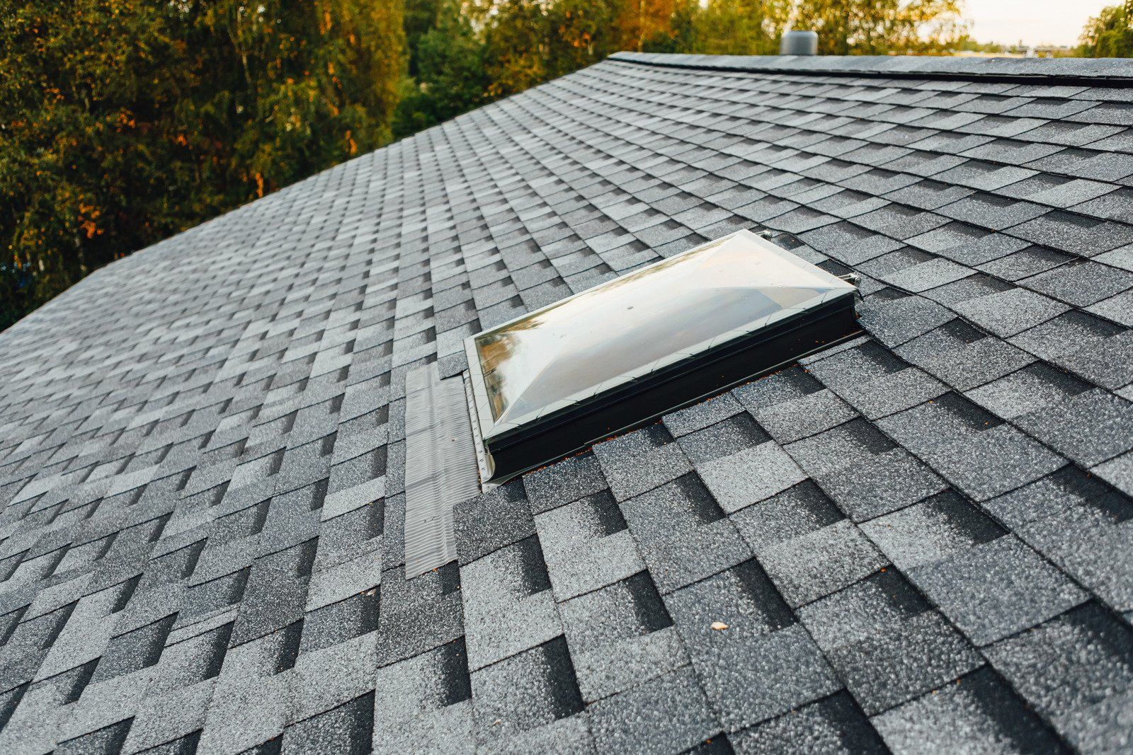 Gray shingled roof with a rectangular skylight against a backdrop of trees.