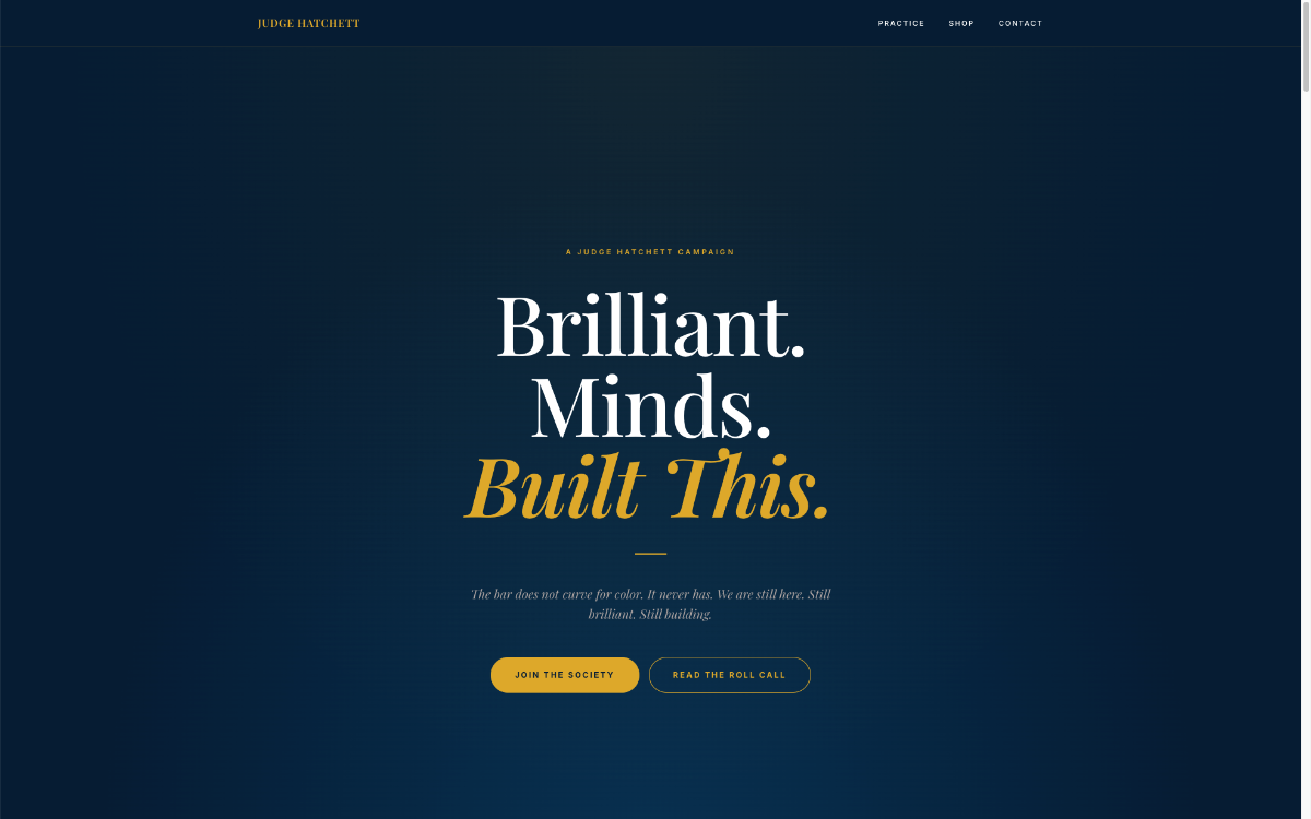 Brilliant Minds website homepage built by Rishari