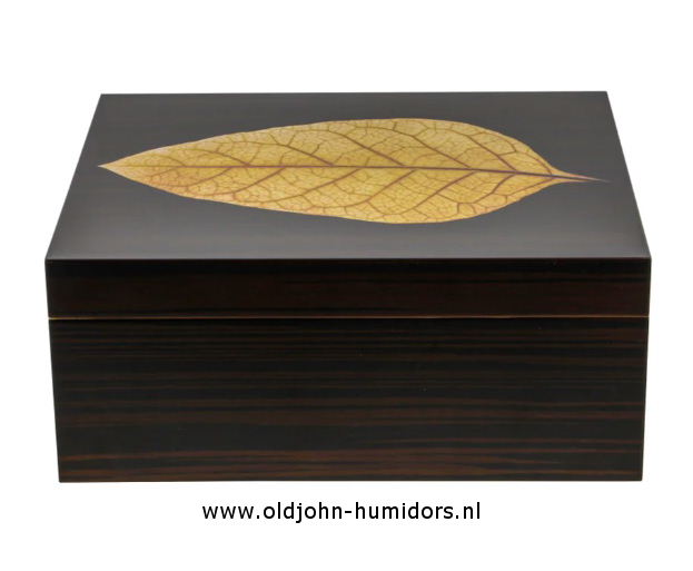 HUMIDOR, ADORINI VERONA DELUXE, SIGARENKIST