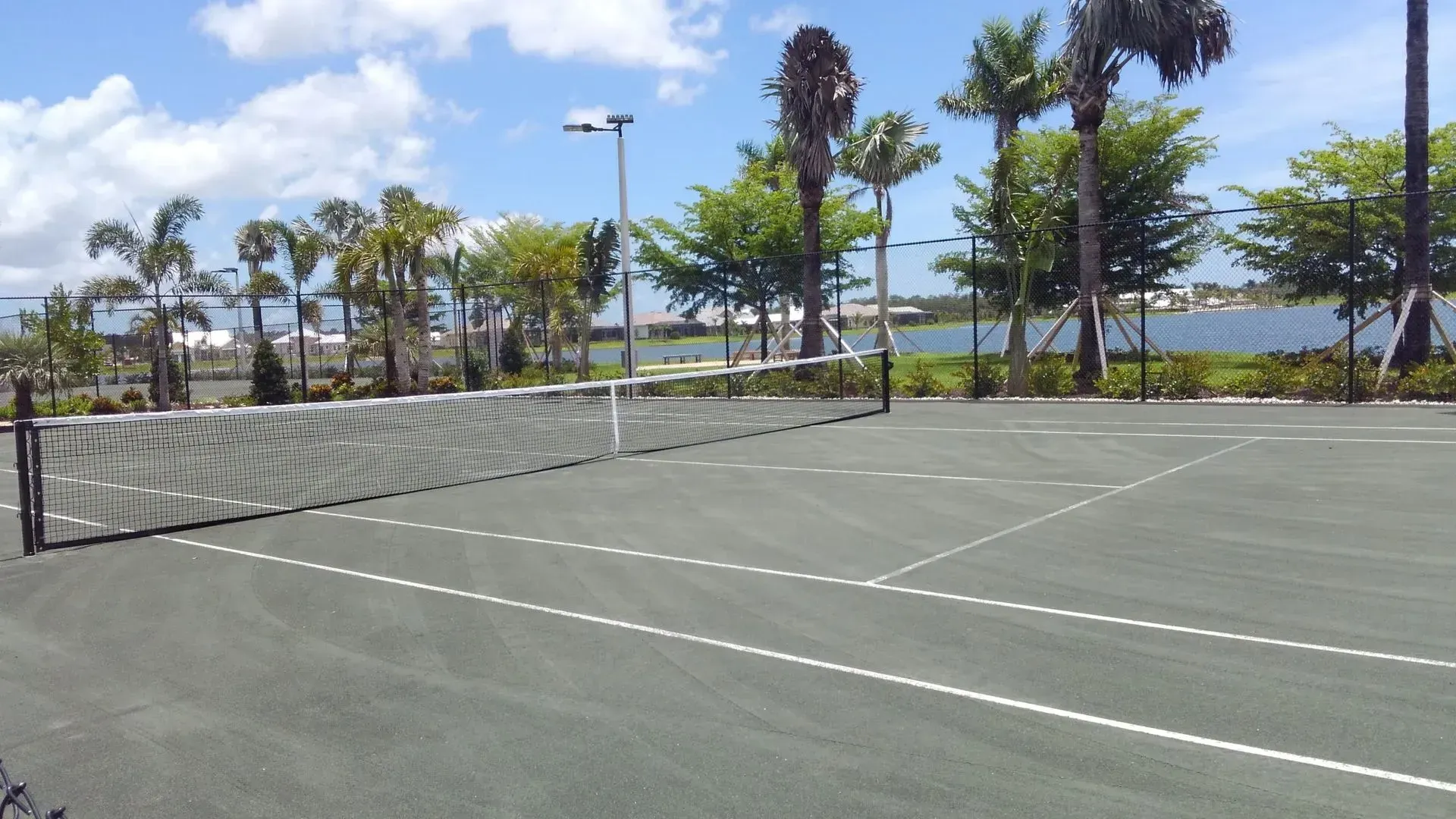 Empty tennis court beside palm trees and a waterfront under a clear blue sky.