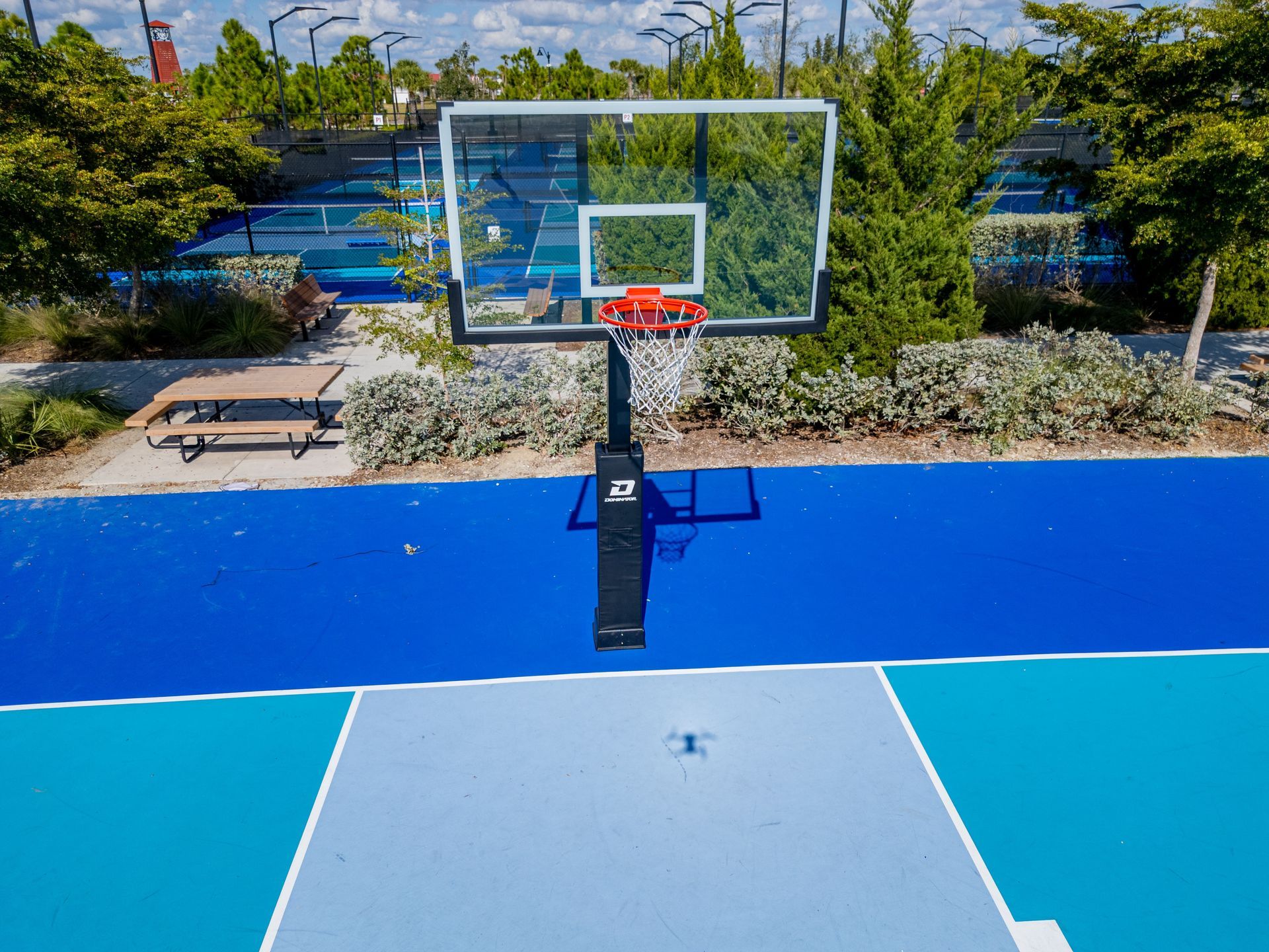 Outdoor basketball hoop on a blue court with trees and benches in the background