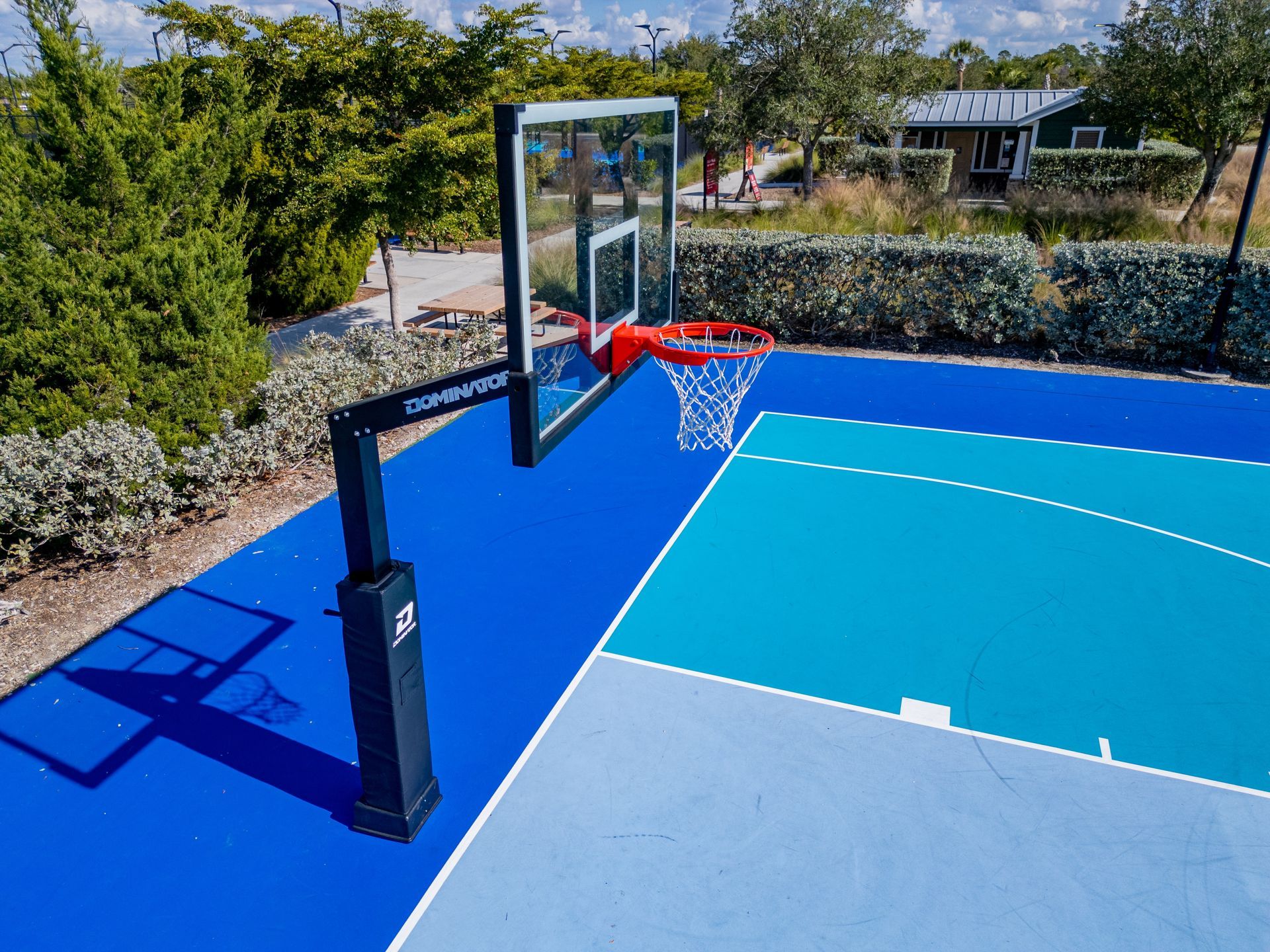 Outdoor basketball hoop on a blue court with a glass backboard, surrounded by bushes and a hillside home.