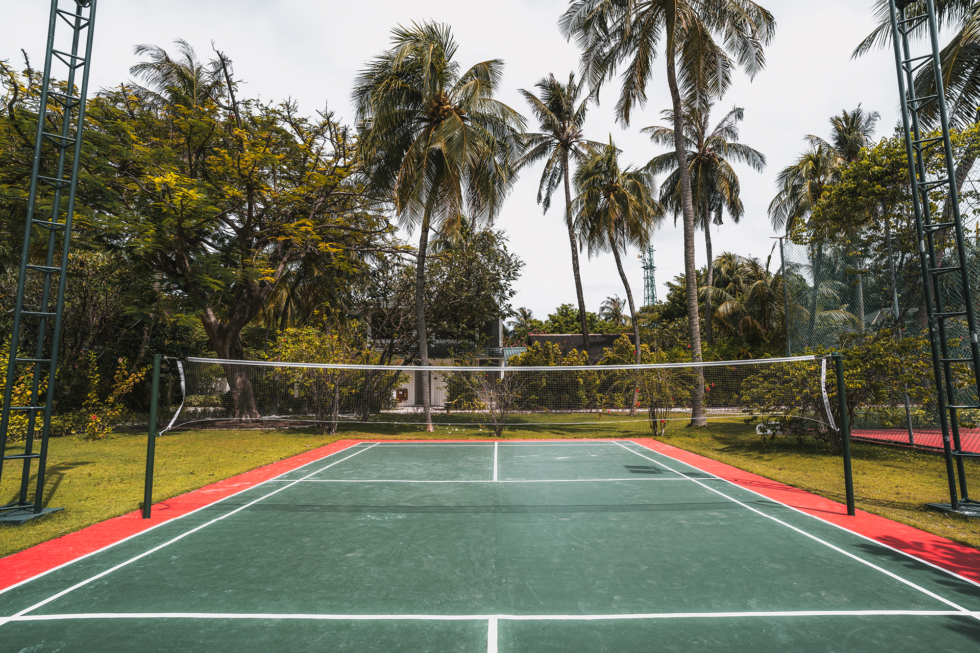 Outdoor tennis court with green surface, red sidelines, and palm trees in the background
